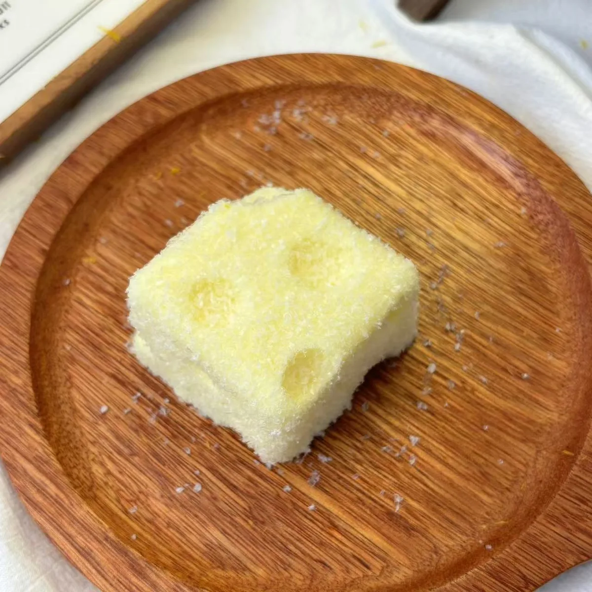 Coconut Cheese Squishy Toy