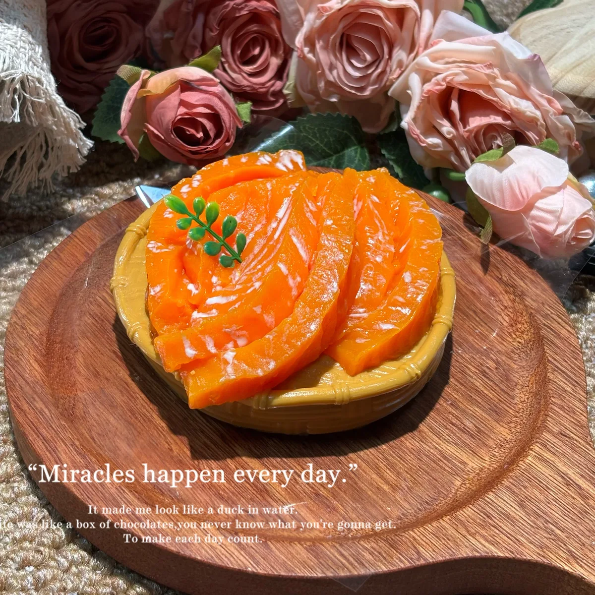 A Plate of Salmon Squishy Toy - image 1
